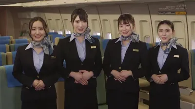 Hãng chim không thiên đường tri ân khách củ khoải thân thiết